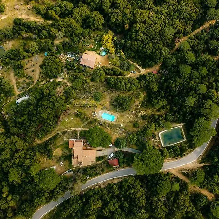 Soler With Pool, Forest, St Iscle De Vallalta * Sant Iscle De Vallalta